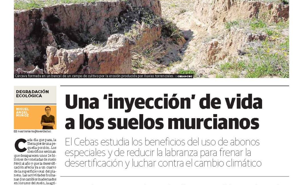 Una 'inyección' de vida a los suelos murcianos